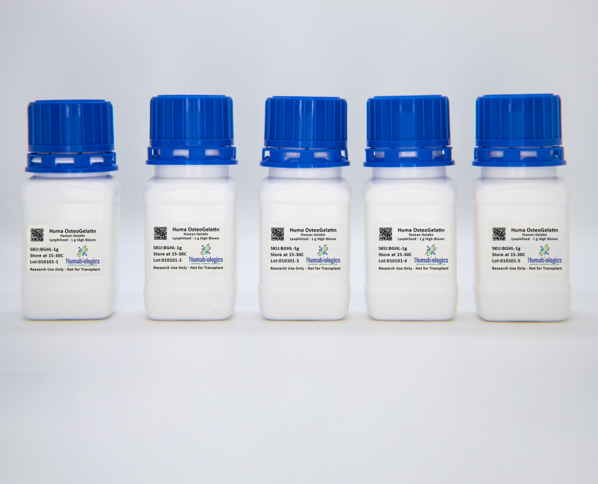 Huma OsteoGelatin Human Gelatin, Lyophilized, High Bloom